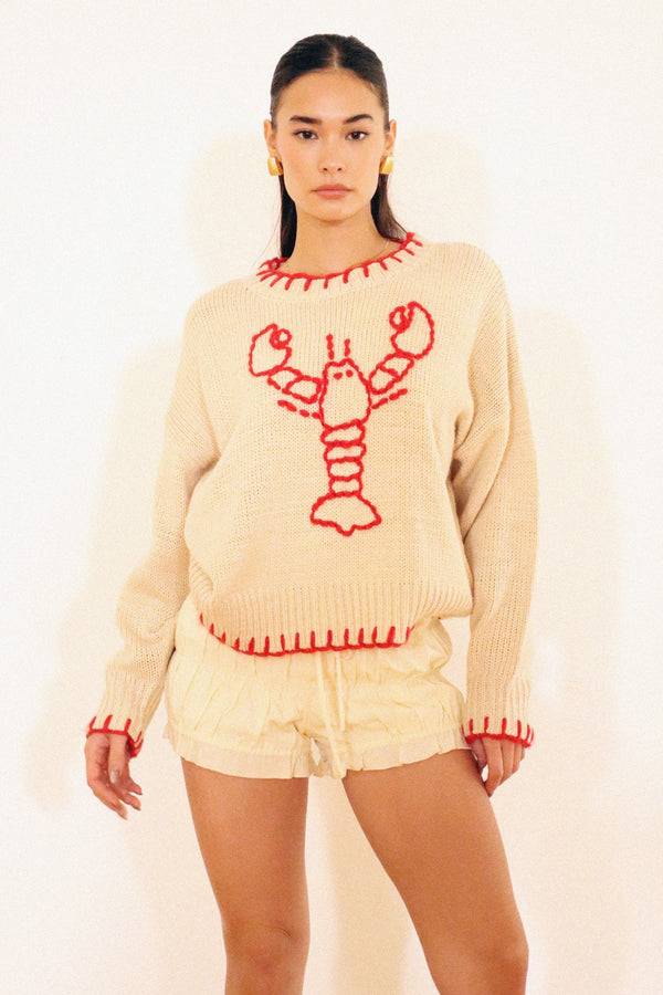 Pinch Me Sweater