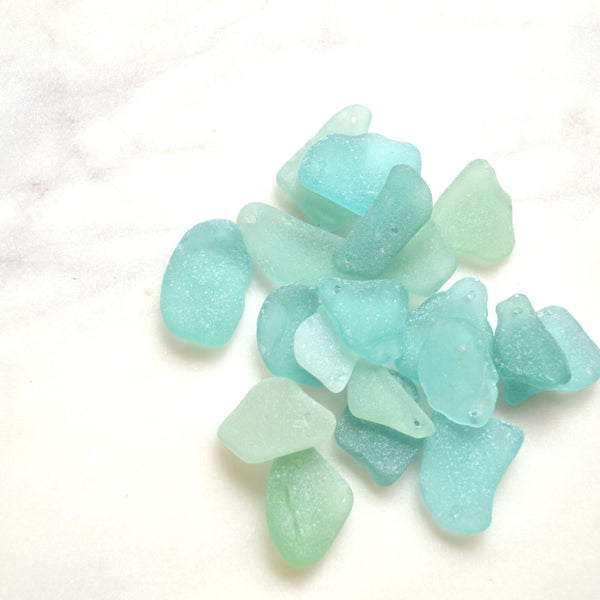 Sea Glass Shell Necklace in Sterling 16 inches
