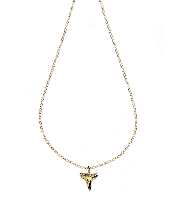 Small Sharks Tooth Necklace