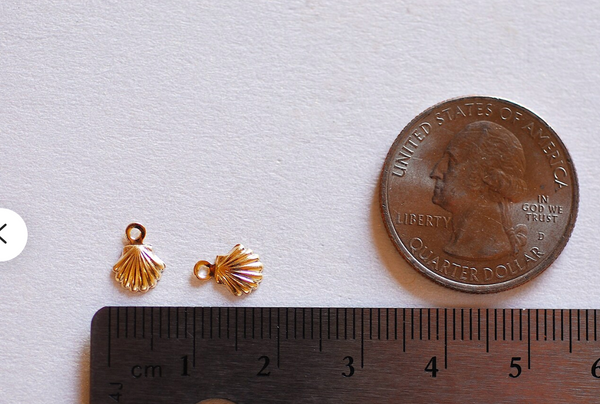 Clam Shell Charm Mini
