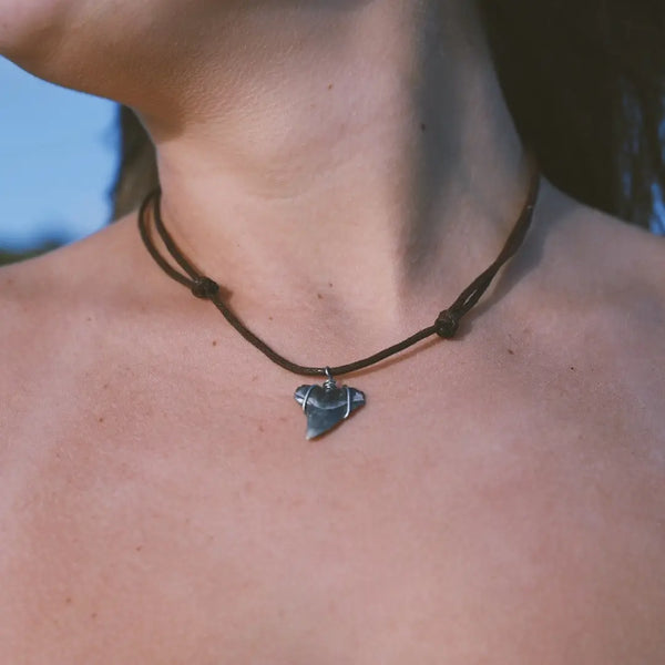 Shark Tooth Cord Necklace