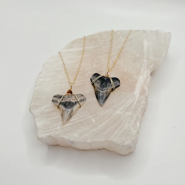 Dainty Shark Tooth Necklace