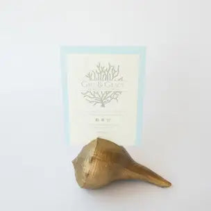 G & G Conch Sign