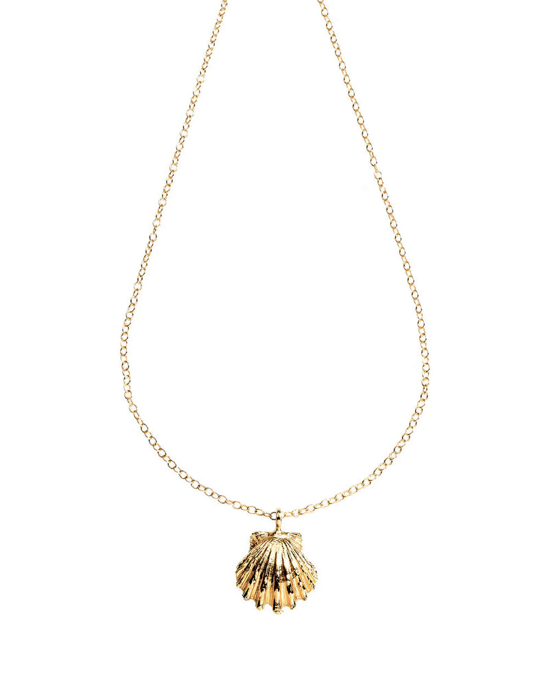 Golden Sunrise Small Shell Necklace